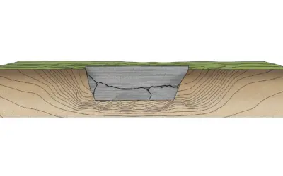 Déformation d’une Paroi Moulée et Tassements